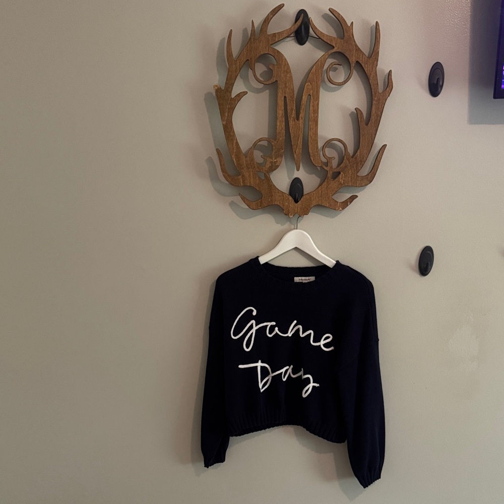 Francesca's Collections Navy Sweater